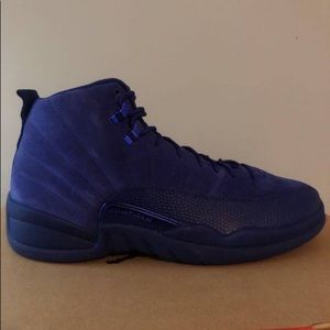 Blue Jordan 12s